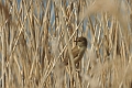 16 04 15_3174_edited-1
